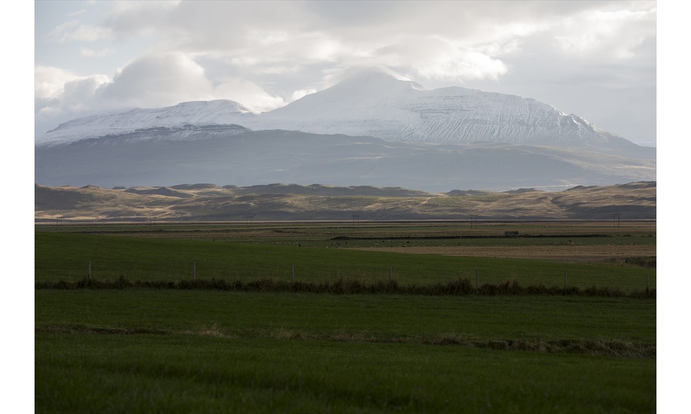 the pastures